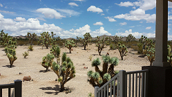 View from a porch at Equestrian Estates at White Hills